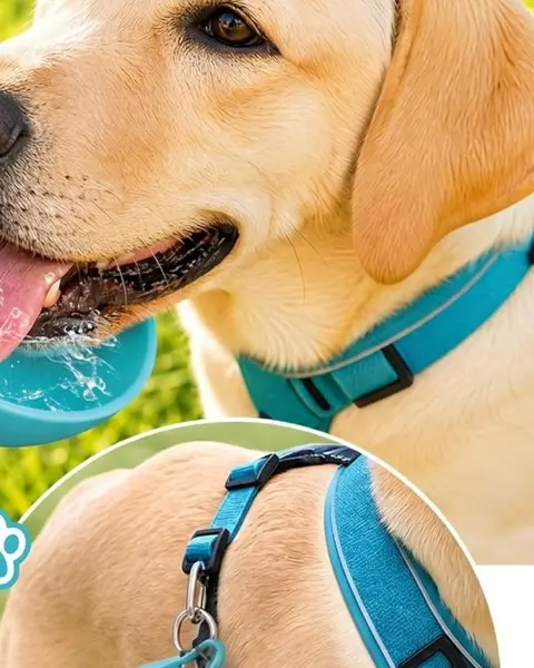 Borraccia Sorso, colore azzurro