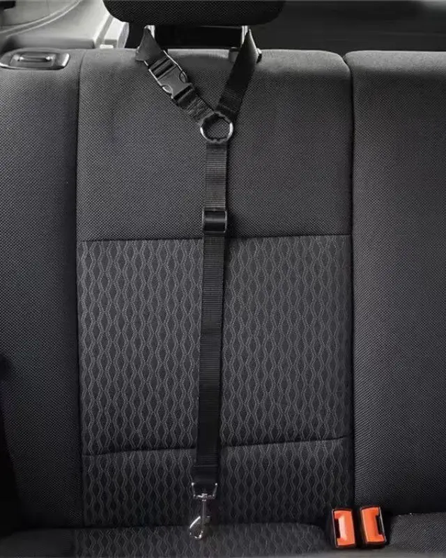 Cintura auto Sicura, colore nero