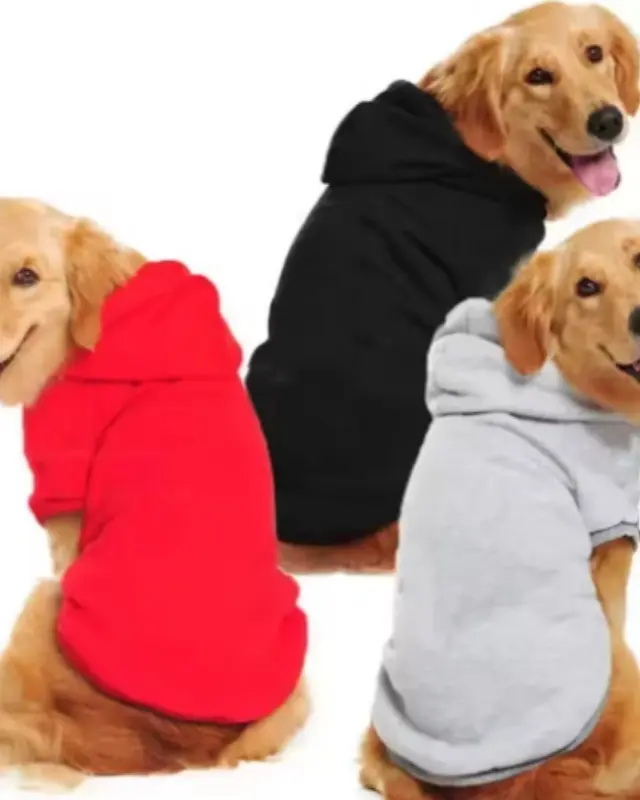 Felpa Ciuffo color rosso indossata da un cane
