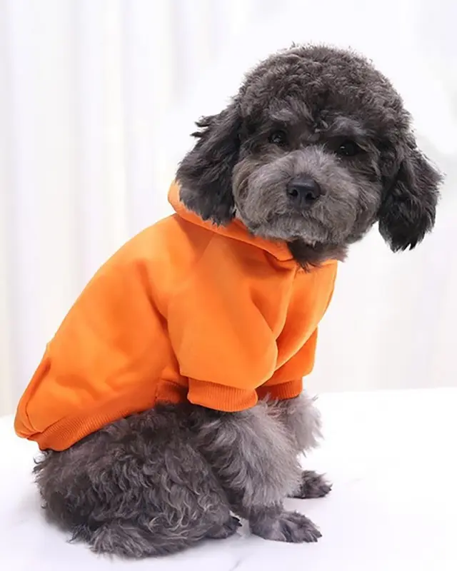 Felpa Velluto color arancio indossata da un cane