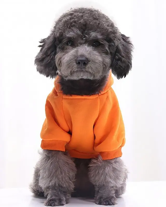Felpa Velluto color arancio indossata da un cane