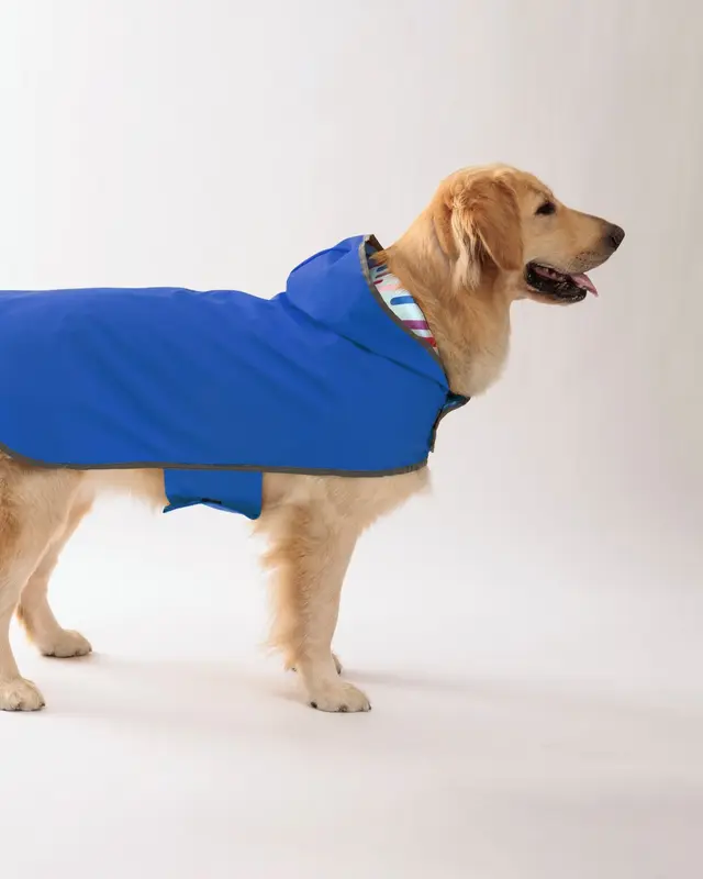 Impermeabile Acquazzone color blu indossata da un cane