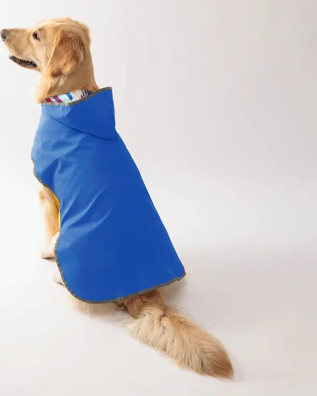 Impermeabile Acquazzone color blu indossata da un cane