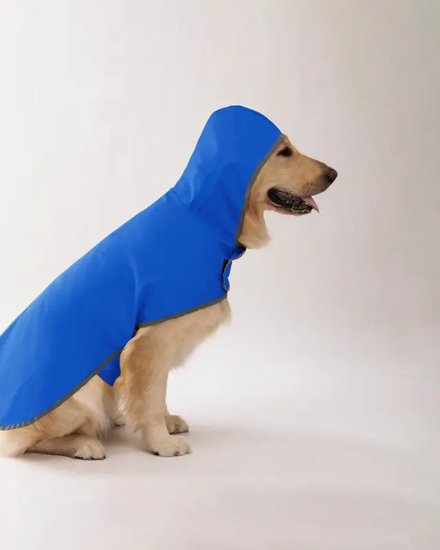 Impermeabile Acquazzone color blu indossata da un cane