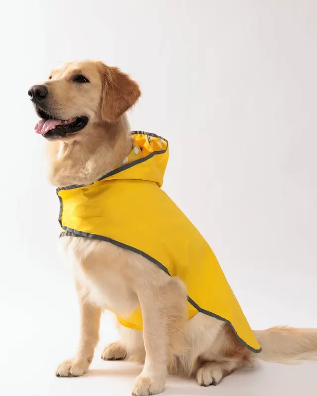 Impermeabile Acquazzone color giallo indossata da un cane