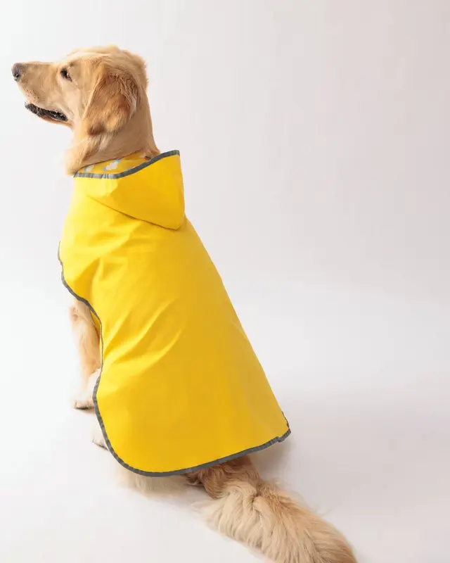 Impermeabile Acquazzone color giallo indossata da un cane