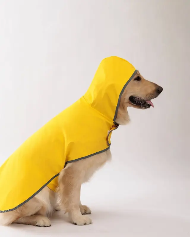 Impermeabile Acquazzone color giallo indossata da un cane