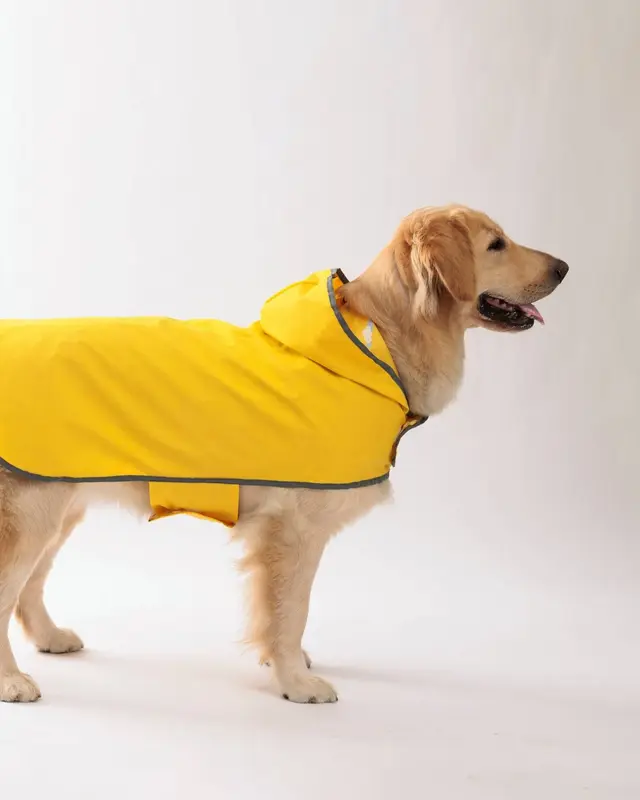 Impermeabile Acquazzone color giallo indossata da un cane