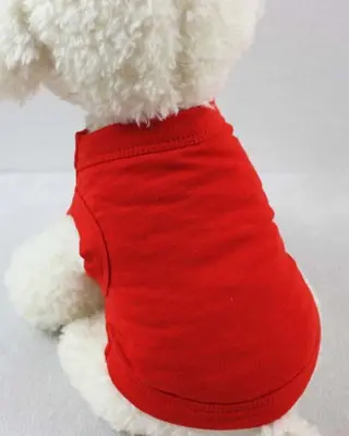 Maglietta Riviera color rosso indossata da un cane