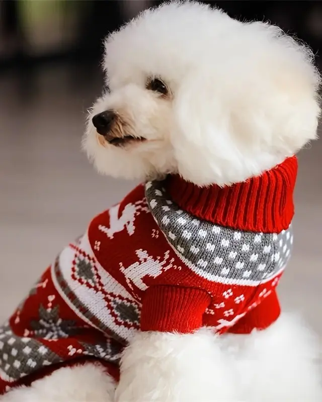 Maglione Renna color rosso indossata da un cane