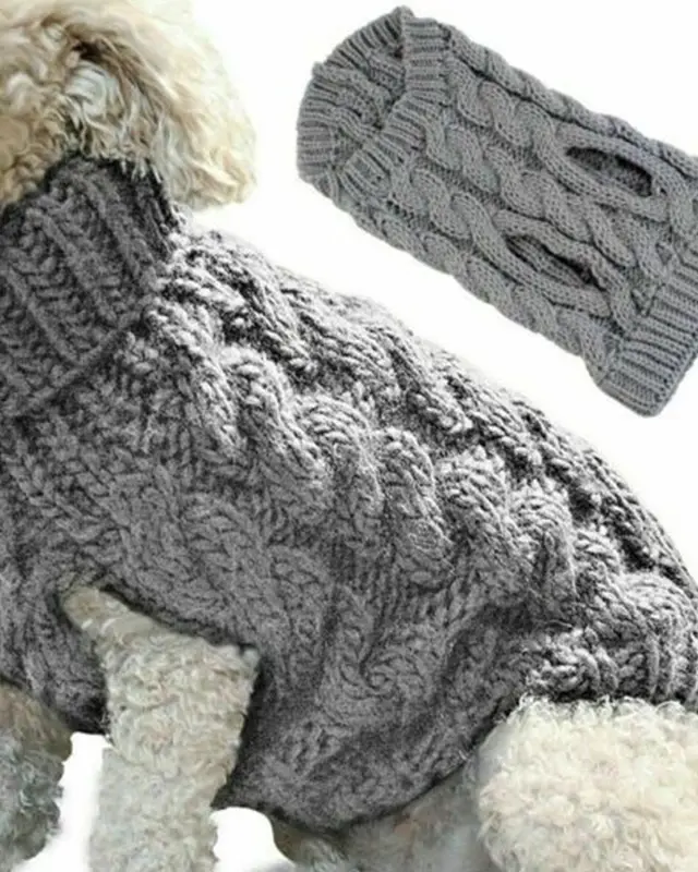 Maglione Trecciolo color grigio indossata da un cane
